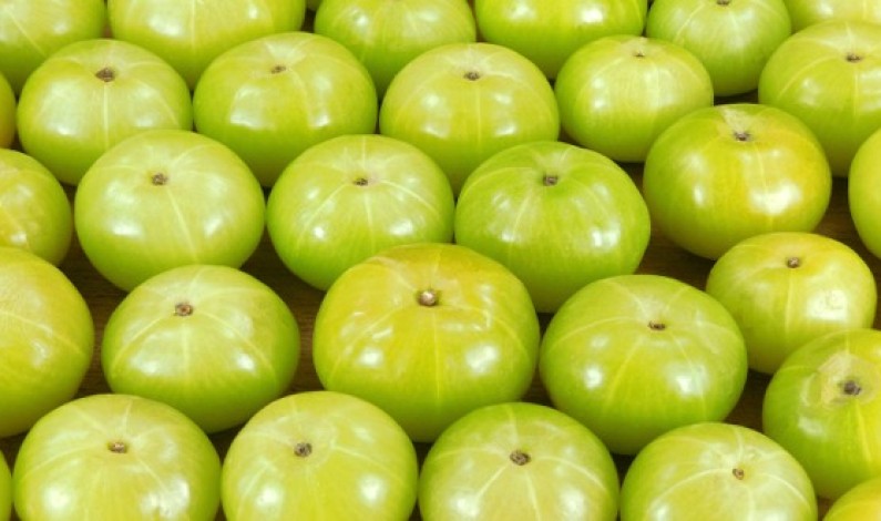 Amla Might Have Benefits for Health