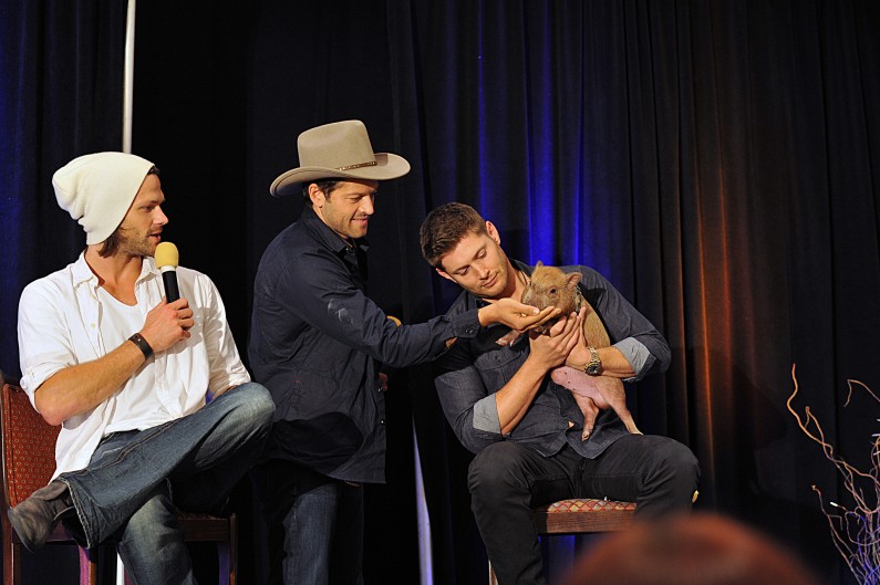 ‘Supernatural’ Stars Use Fame and Fandoms to Give Back [Video]